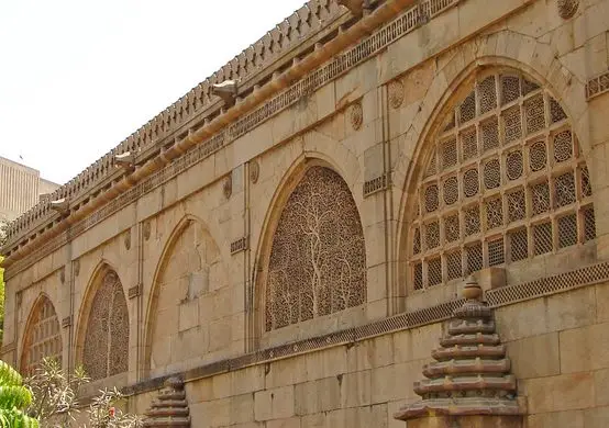 A view of the latticework on the grill of the Sidi Saiyed Mosque